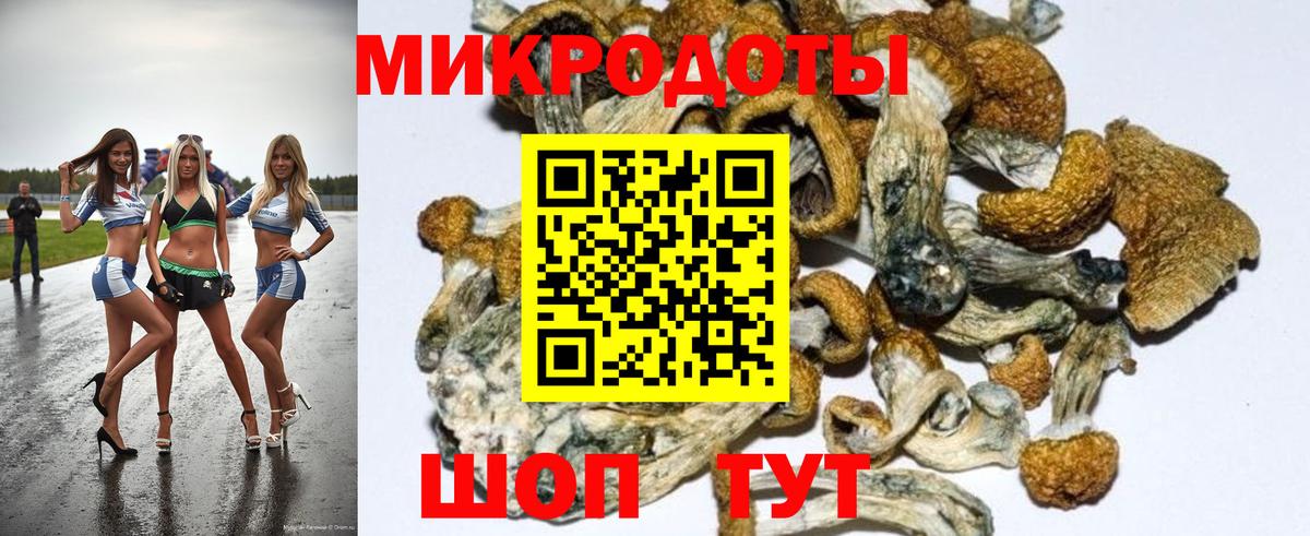 Красногорск  Галлюциногенные грибы мицелий  Вход с VPN  Псилоцибиновые грибы Psilocybine cubensis 